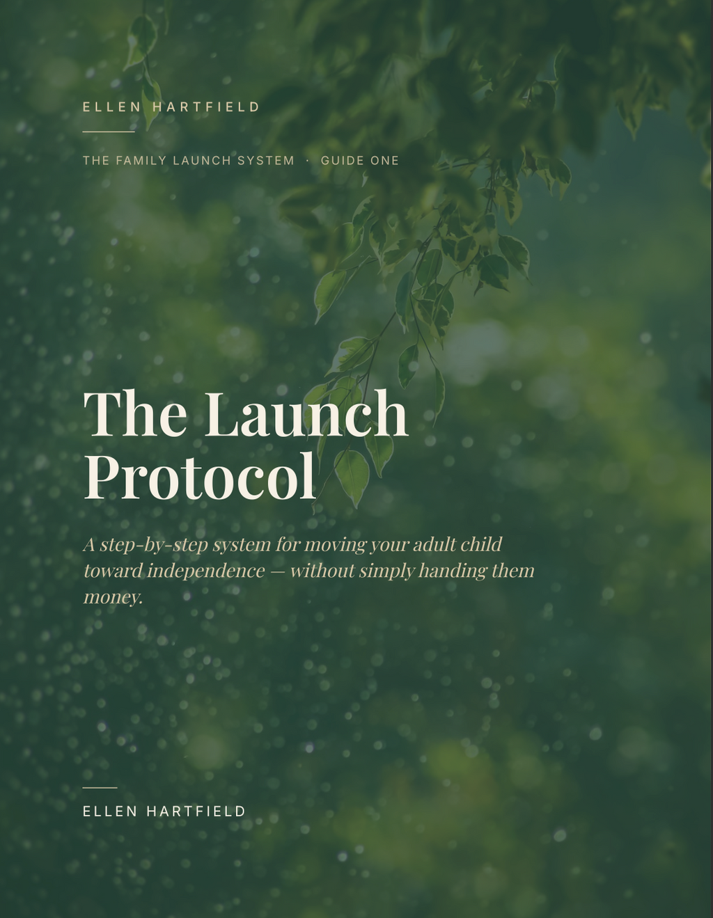 The Family Launch System- The Launch Protocol