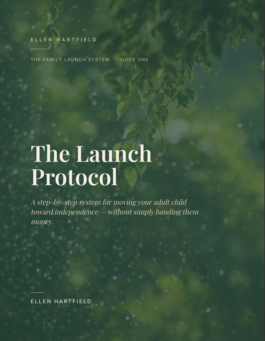 The Family Launch System- The Launch Protocol